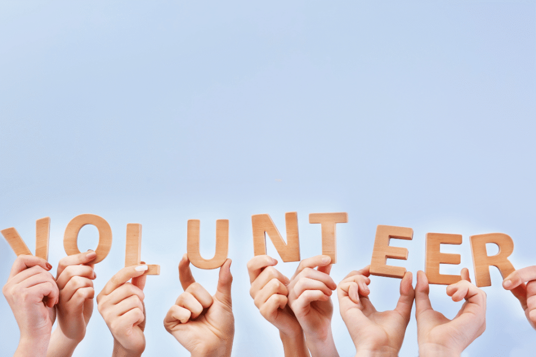 volunteer roles in calstock, cornwall